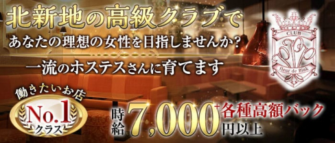 CLUB fleur de Pink(フルール・ド・ピンク)【公式求人・体入情報】(北新地クラブ)の求人・体験入店情報