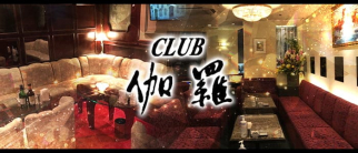 CLUB伽羅(きゃら)【公式求人・体入情報】(三宮ラウンジ)の求人・体験入店情報