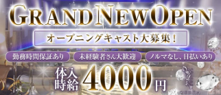 NEW CLUB ZEBRA (ニュークラブ ゼブラ)【公式求人・体入情報】(豊橋キャバクラ)の求人・体験入店情報