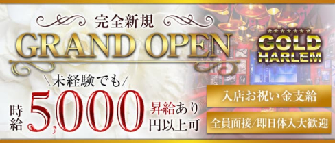 GOLD HARLEM(ゴールドハーレム)【公式求人・体入情報】(宮崎キャバクラ)の求人・体験入店情報