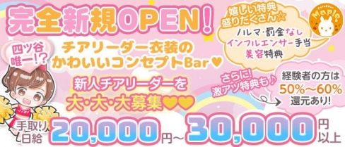 Cafe＆Bar Maple（メイプル）【公式求人・体入情報】(新宿ガールズバー)の求人・バイト・体験入店情報