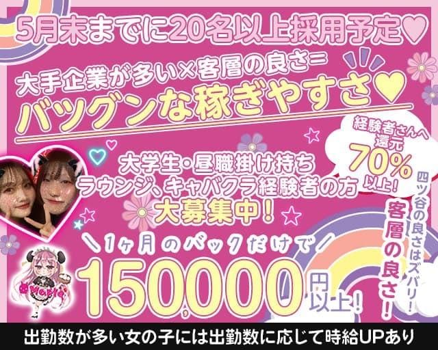 スタッフブログ