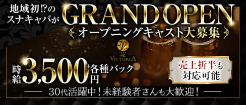 CLUB THE VICTORIA (クラブ ザ ヴィクトリア)【公式求人・体入情報】(藤枝キャバクラ)の求人・体験入店情報
