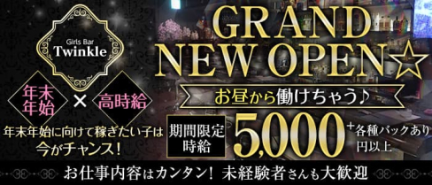 Girls Bar Twinkle(トゥインクル)【公式求人・体入情報】(上野ガールズバー)の求人・体験入店情報