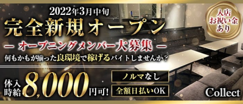 Collect(コレクト)【公式求人・体入情報】(難波キャバクラ)の求人・体験入店情報