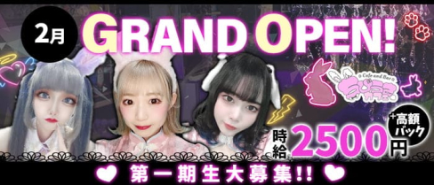 コンカフェ ちびうさカフェ亀戸店【公式求人・体入情報】(秋葉原ガールズバー)の求人・体験入店情報