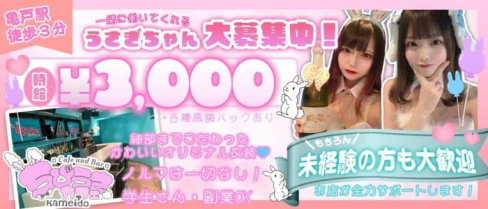 コンカフェ ちびうさカフェ亀戸店【公式求人・体入情報】(秋葉原ガールズバー)の求人・体験入店情報