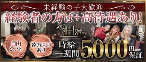 Club Honey(クラブ ハニー)【公式求人・体入情報】(甲府キャバクラ)の求人・体験入店情報
