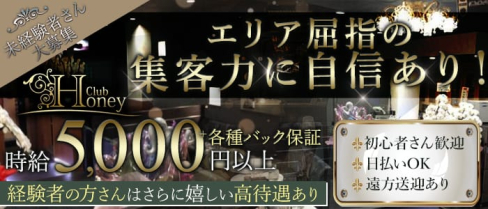 Club Honey(クラブ ハニー)【公式求人・体入情報】(甲府キャバクラ)の求人・体験入店情報