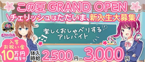 コンセプトカフェ&バー チェリッシュ【公式求人・体入情報】(府中ガールズバー)の求人・体験入店情報