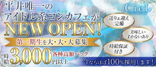 Concept Cafe&Bar Ciel(シエル)【公式求人・体入情報】(平井ガールズバー)の求人・体験入店情報