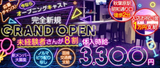 アミューズメント コンセプト&bar アトラクト【公式求人・体入情報】(秋葉原ガールズバー)の求人・体験入店情報