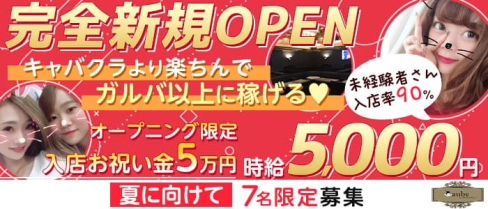 Bar lounge aube(オーブ)【公式求人・体入情報】(川越ガールズバー)の求人・体験入店情報