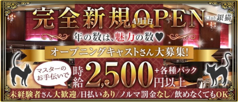 【ひばりヶ丘】姉キャバ club銀猫【公式求人・体入情報】(池袋姉キャバ・半熟キャバ)の求人・体験入店情報