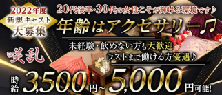 【藤が丘】咲乱(サクラン)【公式求人・体入情報】(藤が丘姉キャバ・半熟キャバ)の求人・体験入店情報