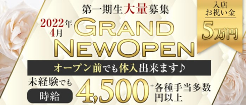 Aurora(オーロラ)【公式出稼ぎ求人情報】(布施キャバクラ)の求人・バイト・体験入店情報