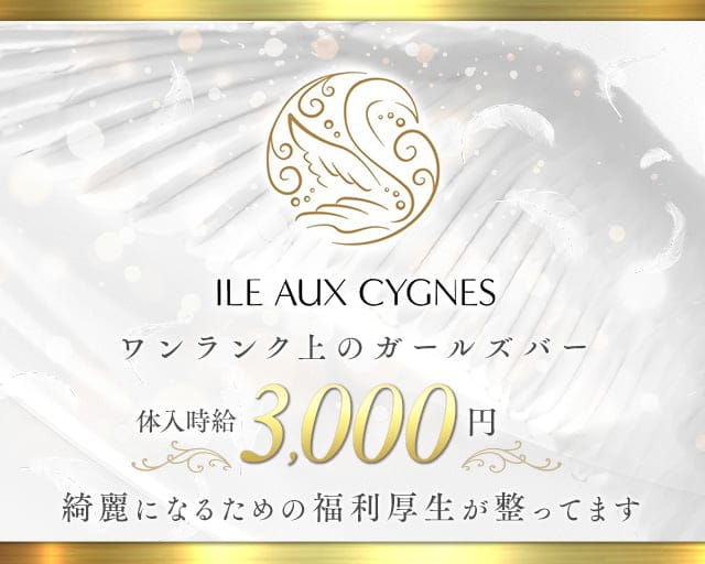 ILE AUX CYGNES（イルシグネス）のガールズバー体入