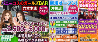 ダンデライオン【公式体入・求人情報】(川崎ガールズバー)の求人・体験入店情報