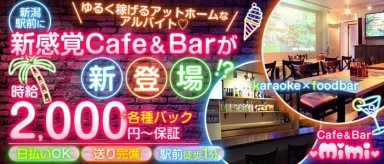 Cafe＆Bar Mimi【公式求人・体入情報】(新潟ガールズバー)の求人・バイト・体験入店情報