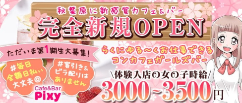 Cafe&Bar Pixy(ピクシー)【公式求人・体入情報】(秋葉原ガールズバー)の求人・体験入店情報