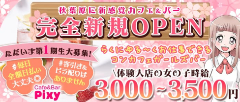 Cafe&Bar Pixy(ピクシー)【公式求人・体入情報】(秋葉原ガールズバー)の求人・体験入店情報