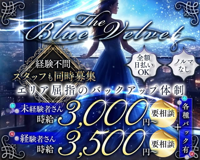 【錦】THE BLUE VELVET（ザ・ブルーベルベット）のラウンジ体入