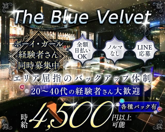 THE BLUE VELVET（ザ・ブルーベルベット）のラウンジ体入