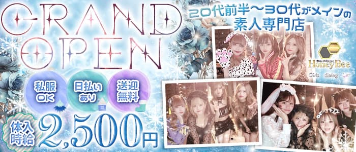Girls dining bar Honey Bee (ハニービー)【公式求人・体入情報】 富士ガールズバー バナー