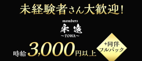 members永遠(トワ)【公式求人・体入情報】(難波ラウンジ)の求人・体験入店情報