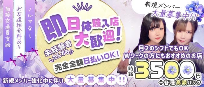 【西新井】Bar サバンナ(竹ノ塚ガールズバー)の求人・体験入店情報
