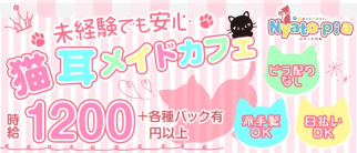 猫耳メイドバーにゃーとぴあ札幌【公式求人・体入情報】(すすきのガールズバー)の求人・体験入店情報