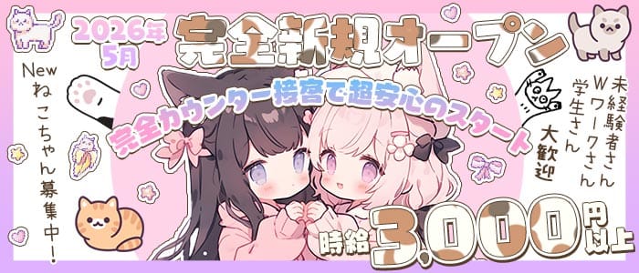 C3（シー スリー）(心斎橋ガールズバー)の求人・体験入店情報