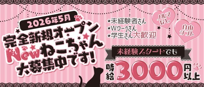 C3（シー スリー）(心斎橋ガールズバー)の求人・体験入店情報