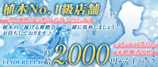 CINDERELLA (シンデレラ)【公式求人・体入情報】(植木スナック)の求人・体験入店情報