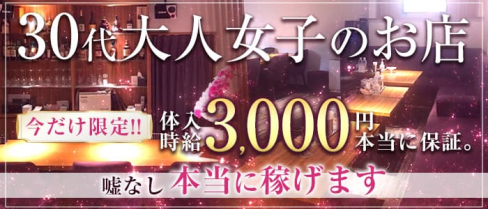Guest Salon REVEL(リベル)【公式求人・体入情報】(銀座ラウンジ)の求人・体験入店情報