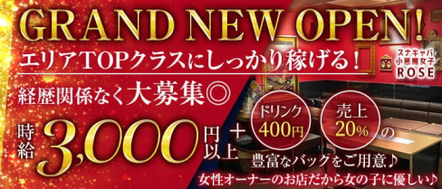 スナキャバ 小悪魔女子ROSE【公式求人・体入情報】(上野スナック)の求人・体験入店情報