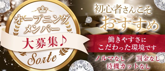 Sorte-ソルテ-のスナック体入