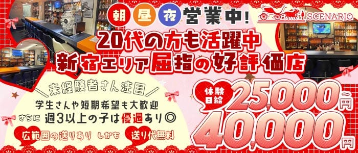 【西新宿】朝・昼・夜 Girls Bar SCENARIO（シナリオ） 新宿ガールズバー 未経験募集バナー