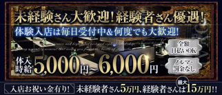 CLUB Royal(ロイヤル)【公式求人・体入情報】(坂戸キャバクラ)の求人・体験入店情報