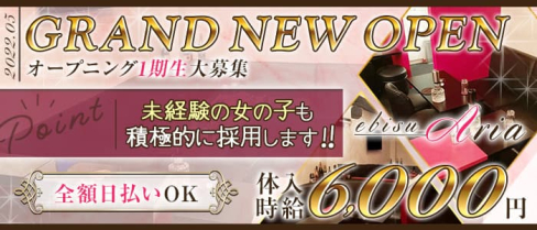 ARIA(アリア)【公式求人・体入情報】(恵比寿キャバクラ)の求人・体験入店情報