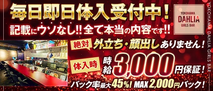 GirlsBar Dahlia(ガールズバーダリア) 横浜ガールズバー 即日体入募集バナー