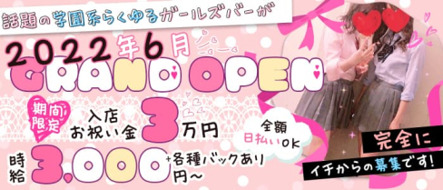 Girl's Bar Shu-Shu (シュシュ)【公式求人・体入情報】(天王寺ガールズバー)の求人・体験入店情報