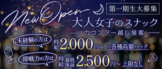 elegance(エレガンス)【公式求人・体入情報】(松山(沖縄)スナック)の求人・体験入店情報
