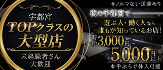 club SFIDA(スフィーダ)【公式求人・体入情報】(宇都宮キャバクラ)の求人・体験入店情報