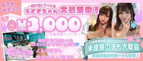 ちびうさカフェ 秋葉原・亀戸店【公式求人・体入情報】(秋葉原ガールズバー)の求人・体験入店情報