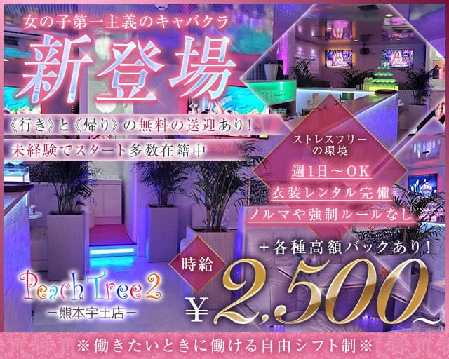 Peach Tree 2 熊本宇土店 （ピーチツリーツー）のキャバクラ体入