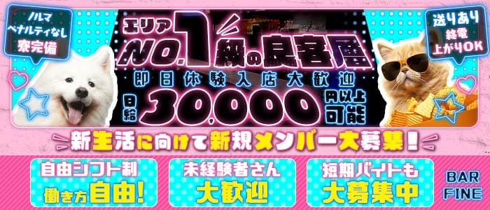 BAR FINE（ファイン） 松戸ガールズバー 即日体入募集バナー