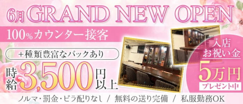 HANABI ‐ハナビ‐【公式求人・体入情報】(銀座ガールズバー)の求人・体験入店情報