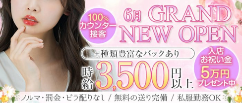 HANABI ‐ハナビ‐【公式求人・体入情報】(銀座ガールズバー)の求人・体験入店情報