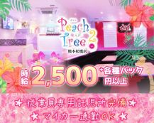 Peach Tree 2 熊本松橋店（ピーチツリーツー）【公式求人・体入情報】 バナー